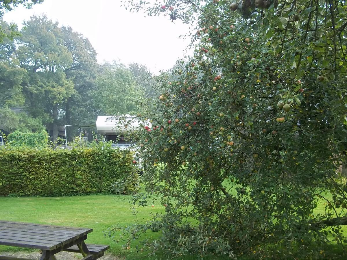 B&B Slaoperij Orvelte 외부 사진
