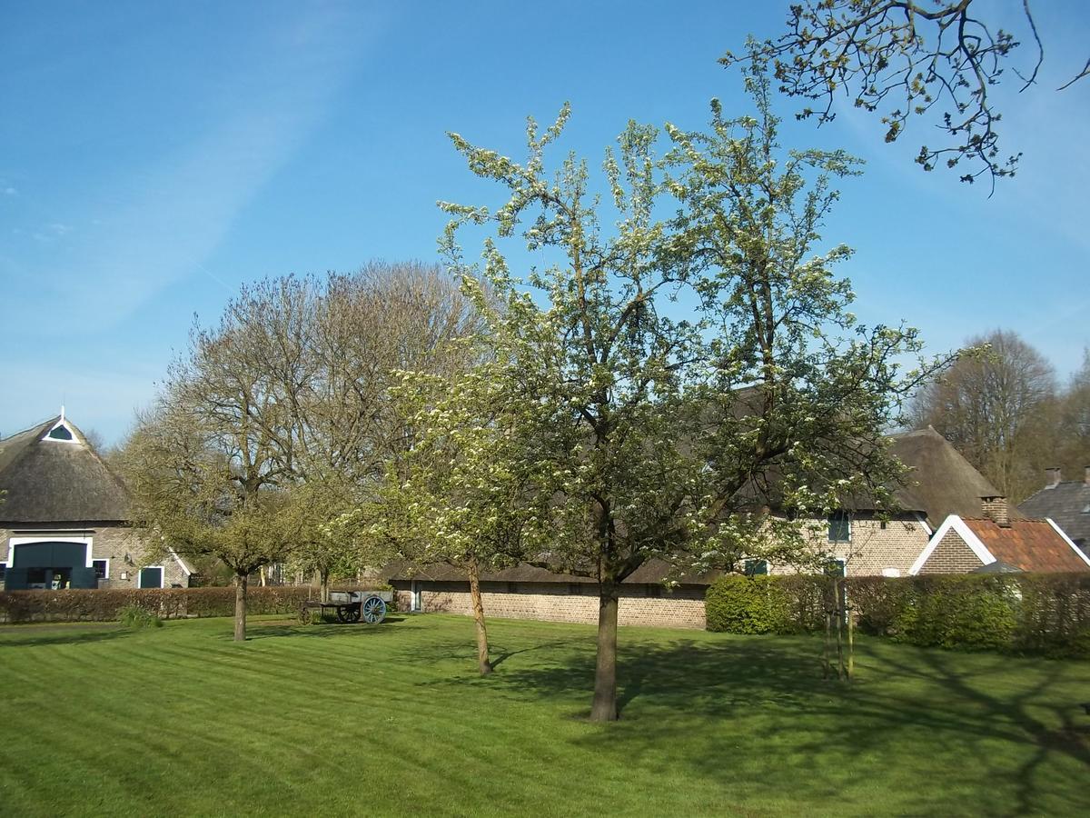 B&B Slaoperij Orvelte 외부 사진